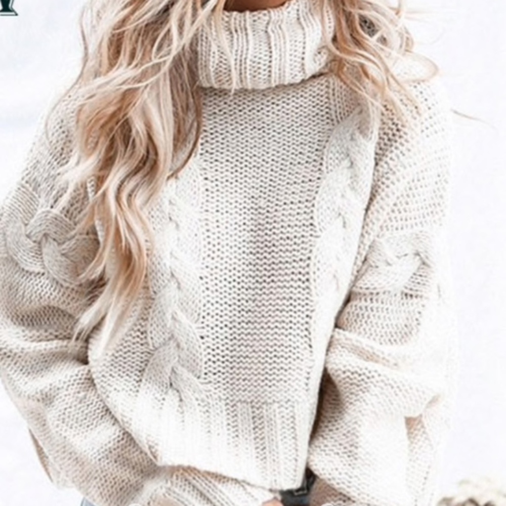 Cozy Cream Chunky Knit Turtleneck Sweater Top - Picture 4 of 4